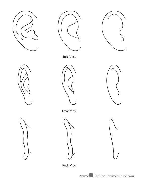 Featured image of post Ear Drawing Reference Simple