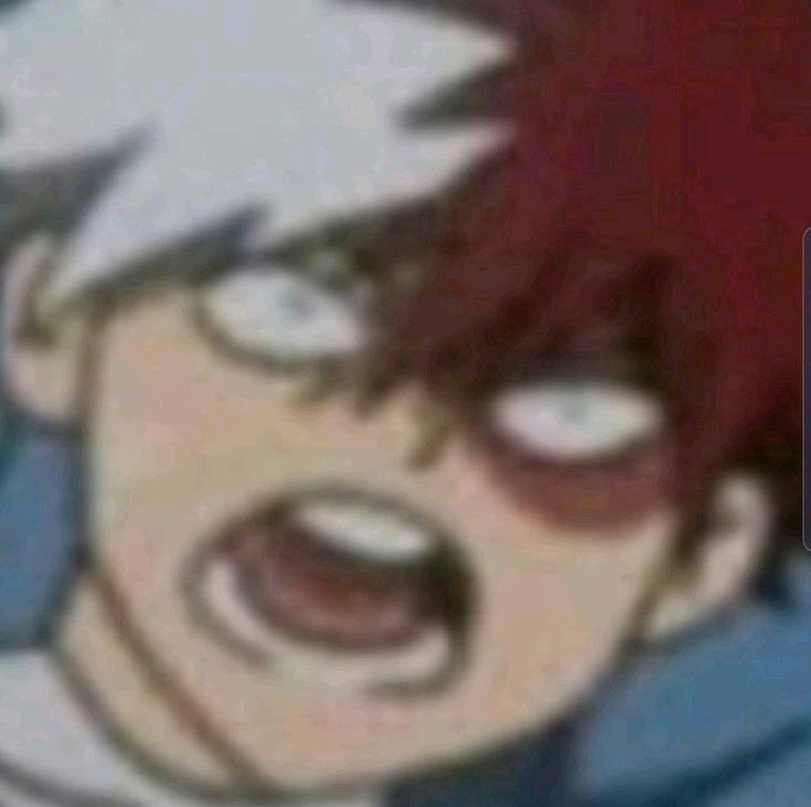 Featured image of post Funny Shoto Pfp