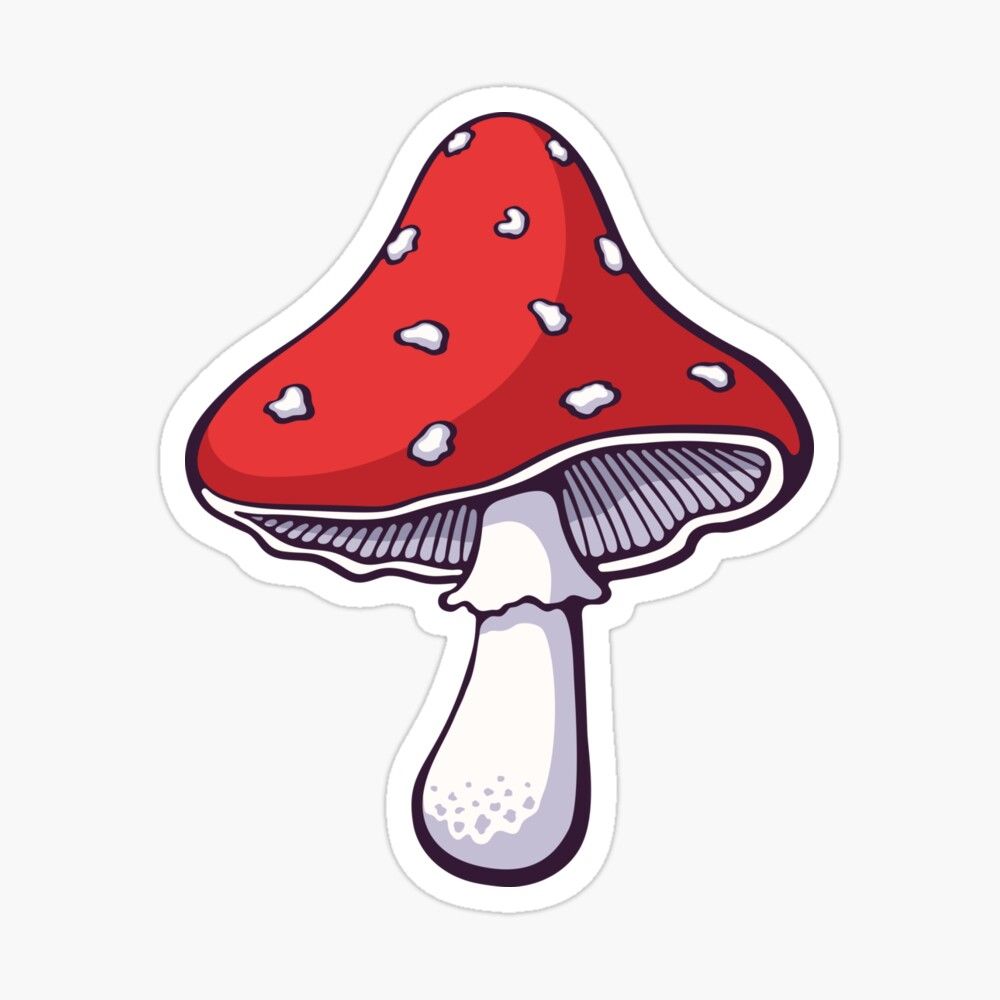 Featured image of post Mushroom Aesthetic Cartoon