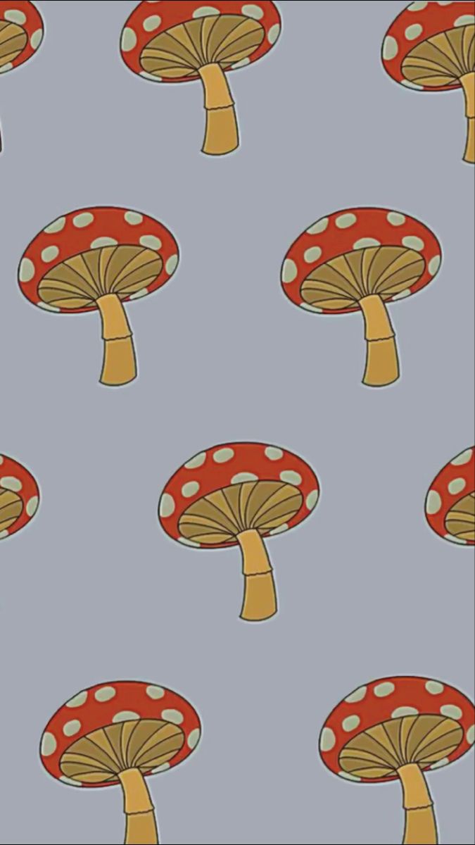 Featured image of post Mushroom Aesthetic Wallpapers