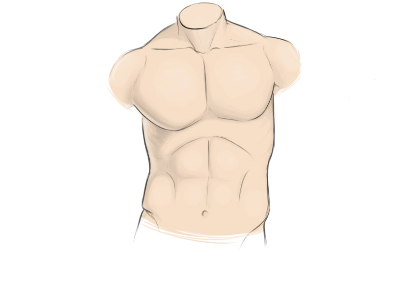 Featured image of post Torso Drawing Easy