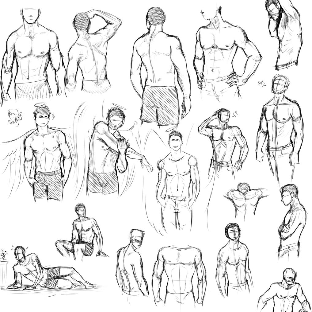 Featured image of post Torso Drawing Ref