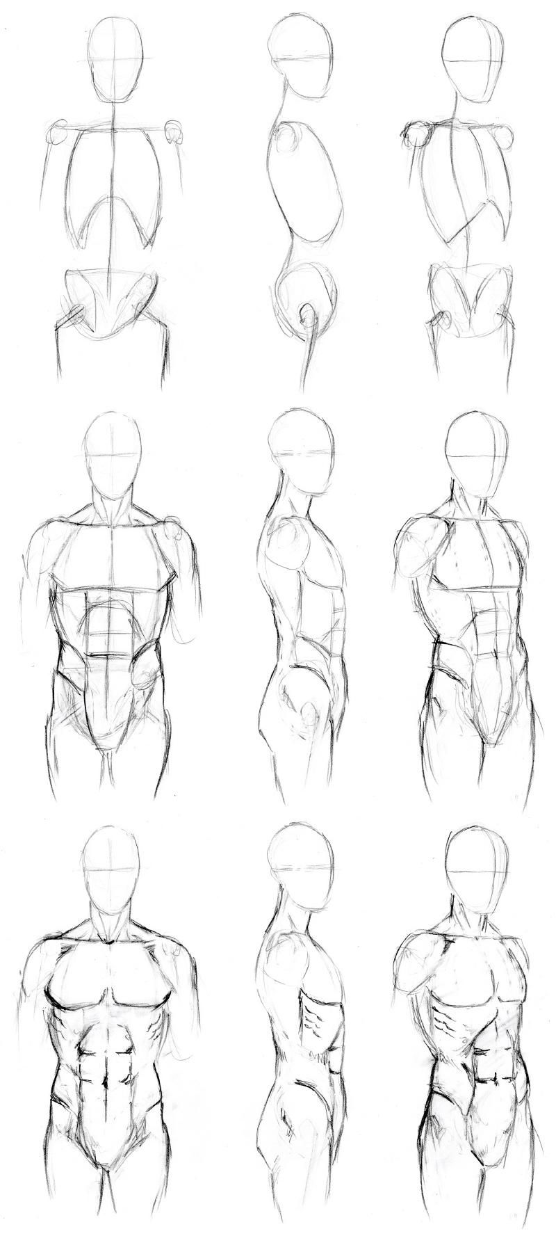 Featured image of post Torso Drawing Sketch