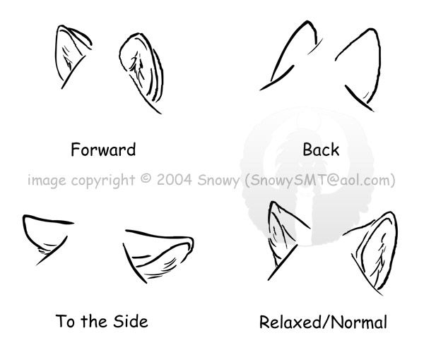 Featured image of post Wolf Ears Drawing